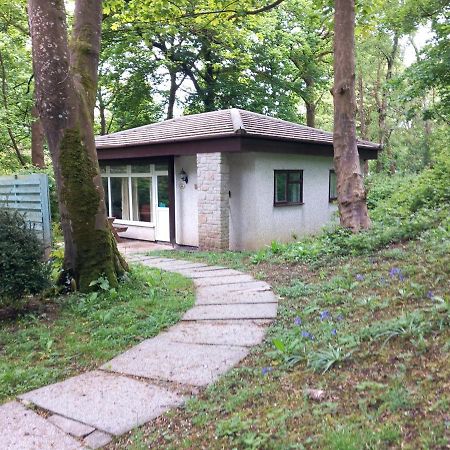 Woodland Retreat Villa Uny Lelant Ngoại thất bức ảnh