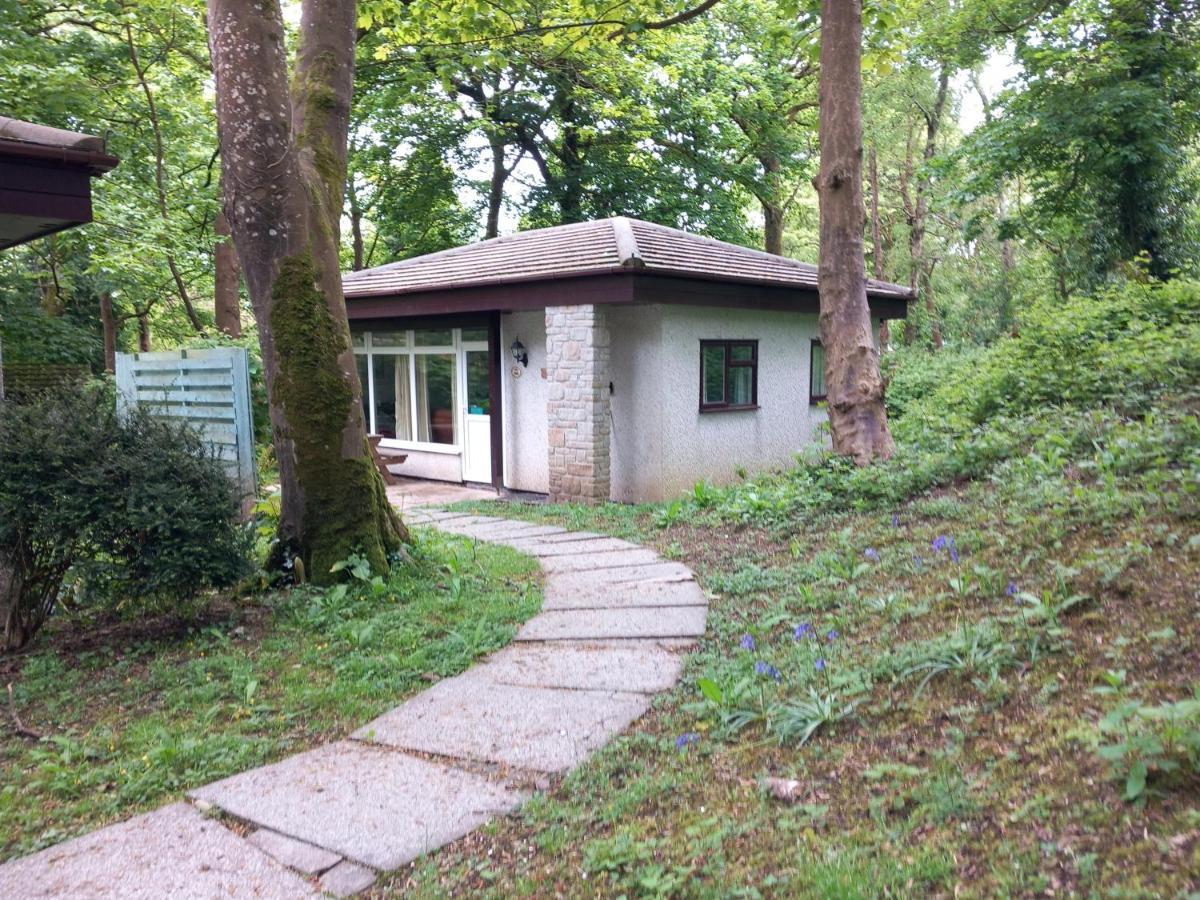 Woodland Retreat Villa Uny Lelant Ngoại thất bức ảnh